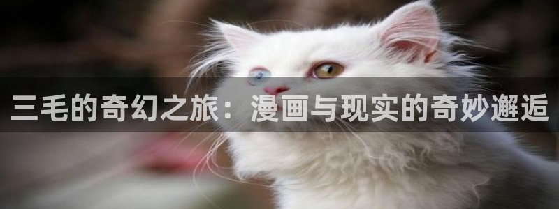 yy漫画在线版免费阅读