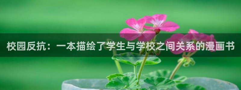 yy漫画网页登录入口